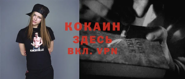 прущая мука Дмитриев