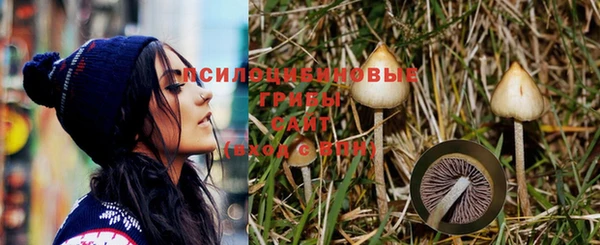 скорость Елизово
