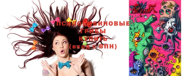 прущая мука Дмитриев