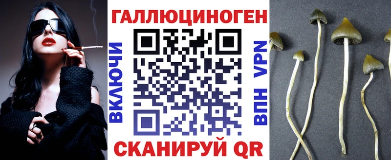 Купить закладки  Киренск  Галлюциногенные грибы Cubensis 